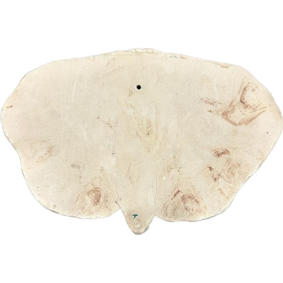 Vtg Gray Elephant Head Realistic Concrete Wall Art Hanging Sculpture LARGE OOAK - Picture 12 of 13